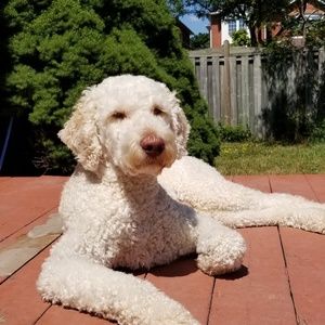 Meet your Posher, Valerie